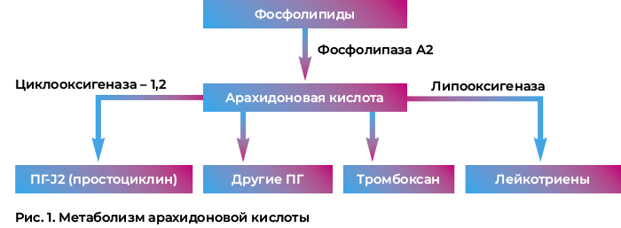 Фосфолипиды